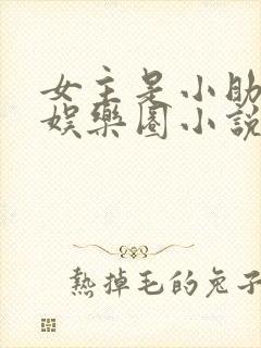 女主是小助理的娱乐圈小说