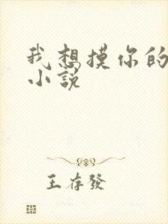 我想摸你的乳房小说