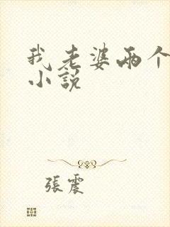 我老婆两个表妹小说封面