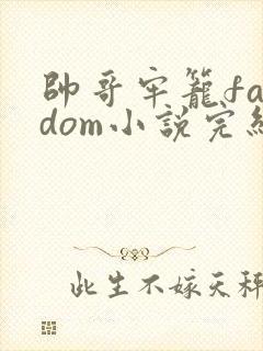 帅哥牢笼fandom小说完结了吗