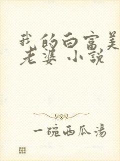 我的白富美总裁老婆 小说封面