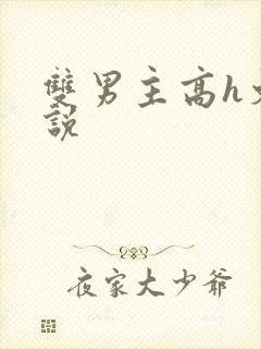 双男主高h文小说封面