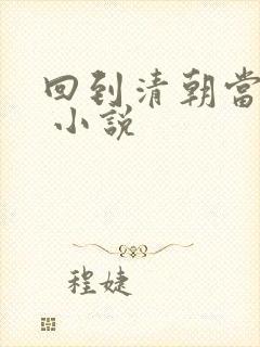 回到清朝当皇上 小说封面