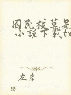 国民校草是女生 小说下载txt