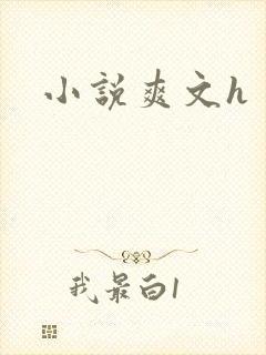 小说爽文h封面