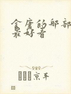 金庸的哪部小说最好看