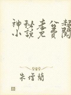 神秘老公超级甜小说免费阅读全文