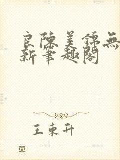 良陈美锦无删减新笔趣阁