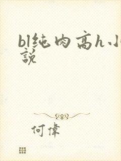 bl纯肉高h小说