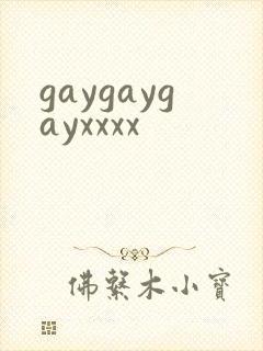 gaygaygayxxxx封面