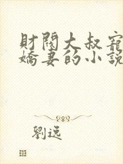 财阀大叔宠坏小娇妻的小说