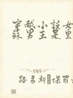 穿越小说女主姓苏男主是皇上