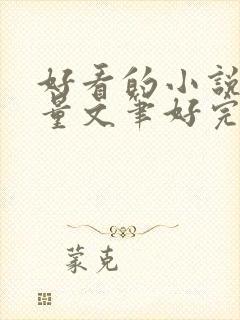 好看的小说高质量文笔好完结