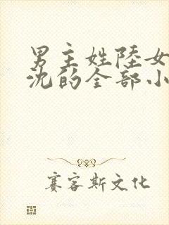男主姓陆女主姓沈的全部小说封面