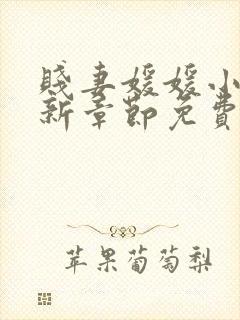 贱妻媛媛小说最新章节免费阅读