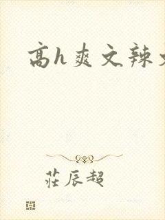 高h爽文辣文