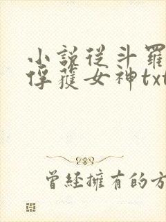 小说从斗罗开始俘获女神txt封面