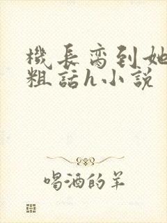 机长脔到她哭h粗话h小说