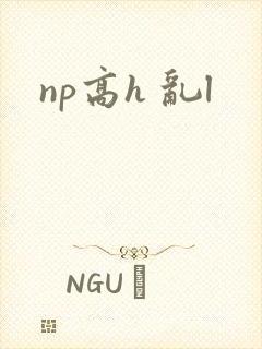 np高h 乱l