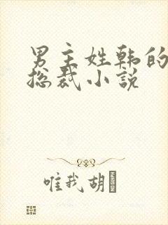 男主姓韩的霸道总裁小说封面