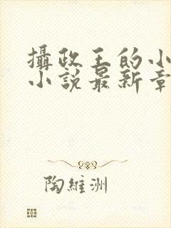 摄政王的小闲妻小说最新章节