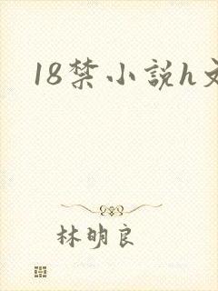 18禁小说h文