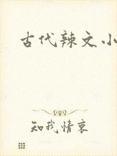古代辣文小说网