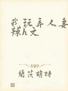 我玩弄人妻系列辣h文