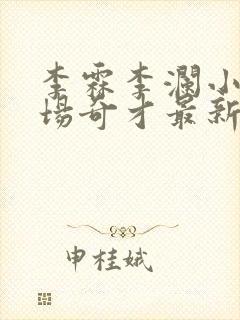 李霖李澜小说官场奇才最新更新