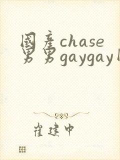 国产chase男男gaygay网站