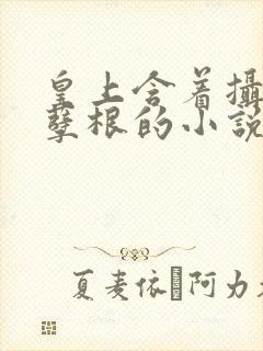 皇上含着摄政王孽根的小说