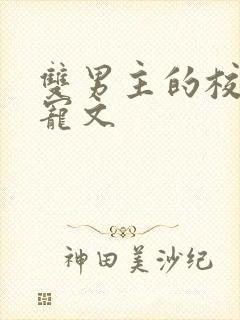 双男主的校园甜宠文封面