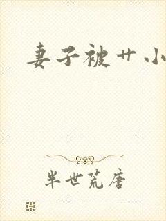 妻子被艹小说封面