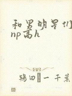 和男明星们啪啪np高h