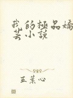 我的极品娇妻苏芸小说