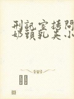 刑讯室拷问白嫩奶头乳夹小说封面