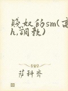 贱奴的sm(高h,调教)