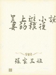 吴上进小说之娇妻的报复