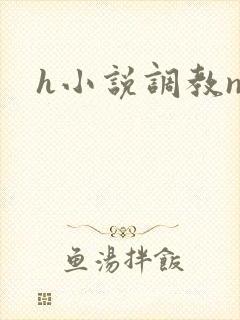 h小说调教np封面