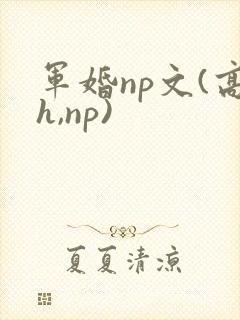 军婚np文(高h,np)