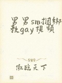 男男sm捆绑调教gay视频封面