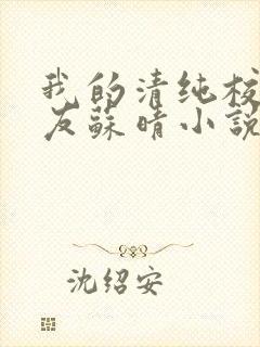 我的清纯校花女友苏晴小说最新章节