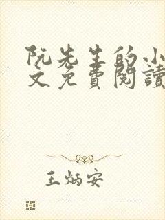 阮先生的小说全文免费阅读无弹窗