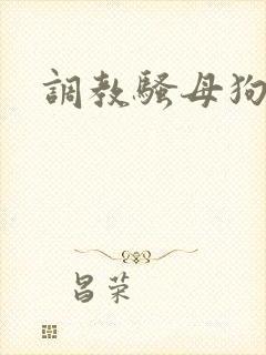 调教骚母狗sm封面