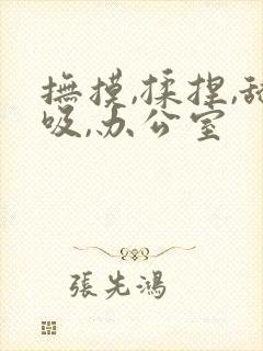 抚摸,揉捏,舔吸,办公室