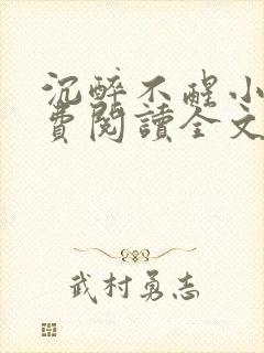 沉醉不醒小说免费阅读全文无弹窗