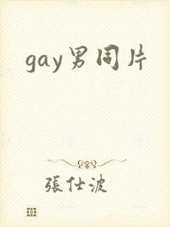 gay男同片