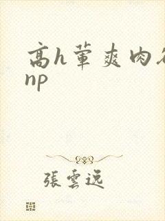 高h荤爽肉欲文np封面