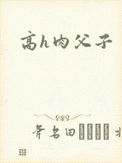 高h肉父子封面