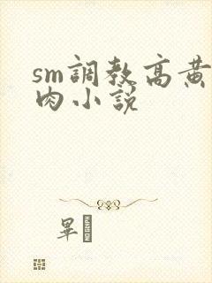 sm调教高黄纯肉小说